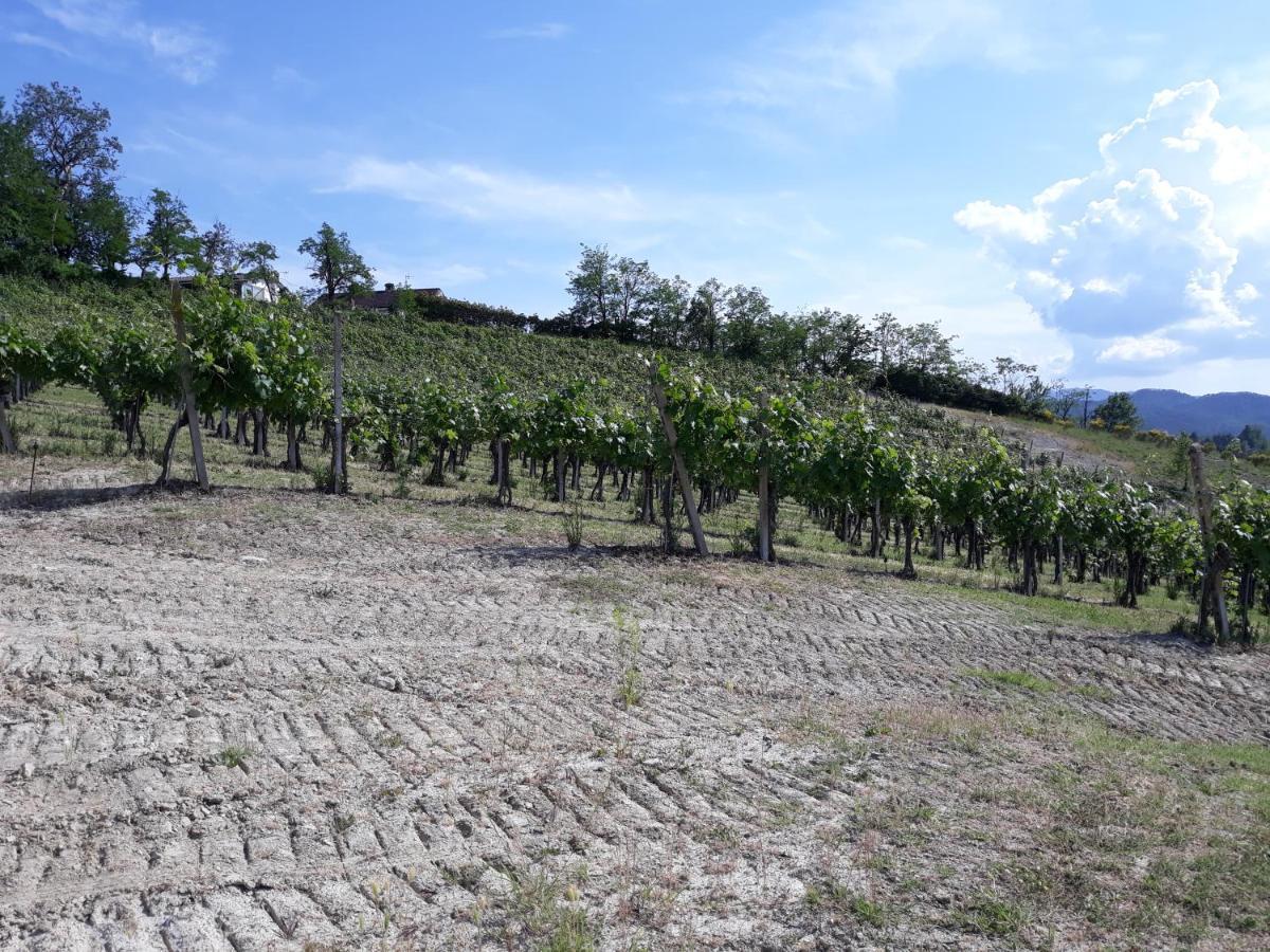 شقة Lerma  في Agriturismo Il Biancospino Bed & Wine المظهر الخارجي الصورة